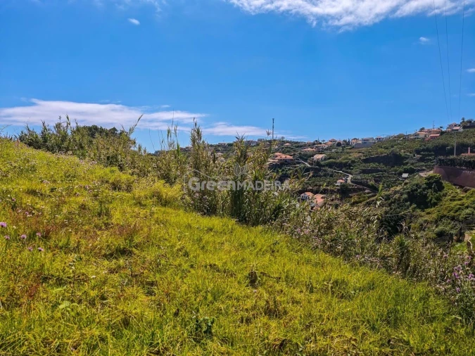 Terreno para Venda em Ponta do Sol Foto 18