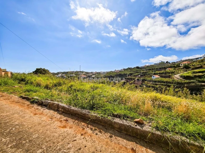 Terreno para Venda em Ponta do Sol Foto 20