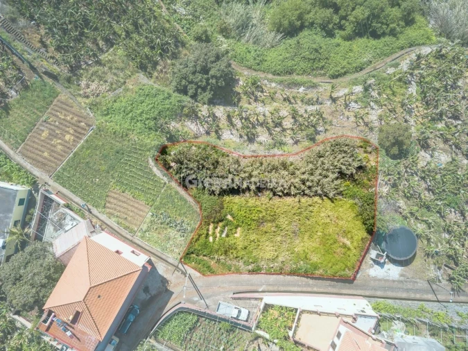 Terreno para Venda em Ponta do Sol Foto 3