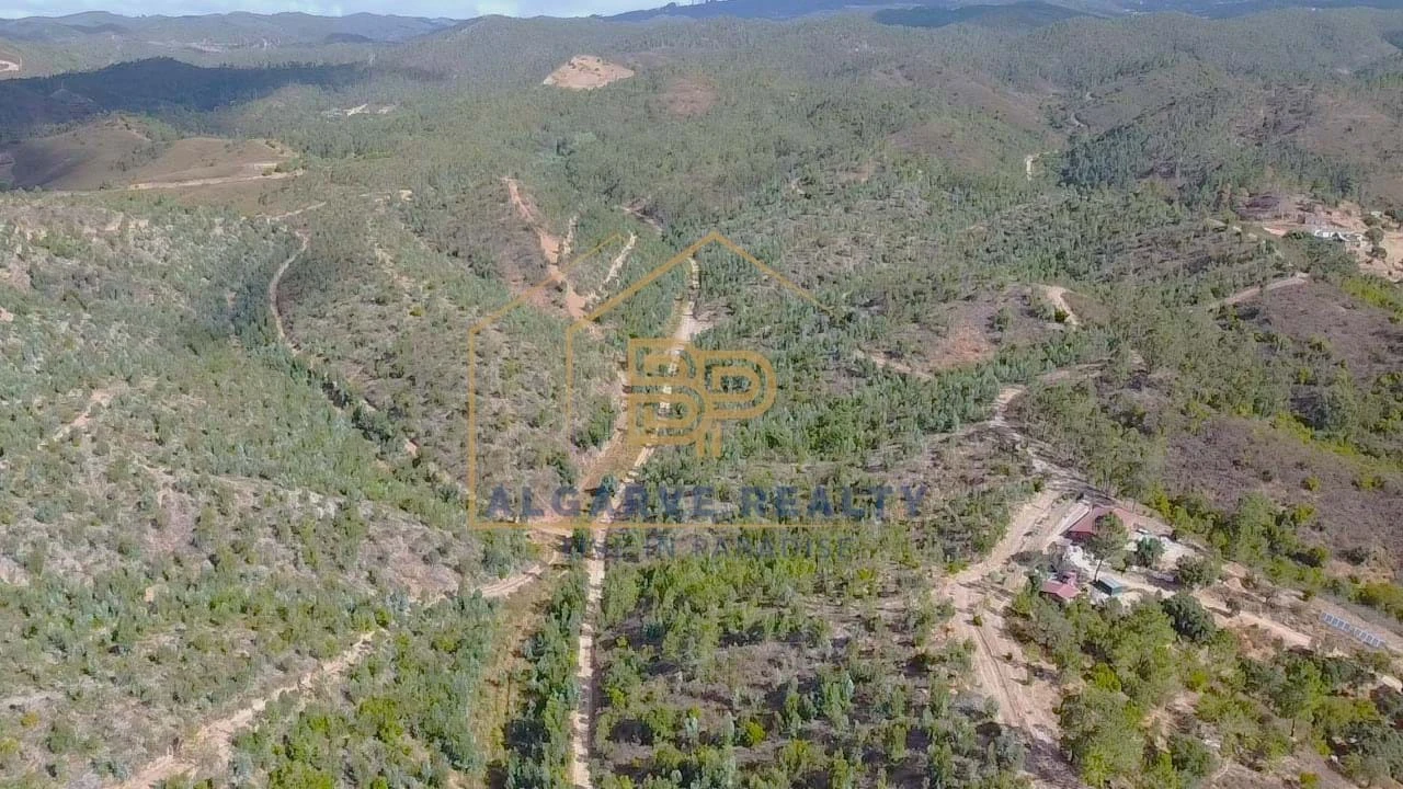 Negócio para Venda em Marmelete Foto 29