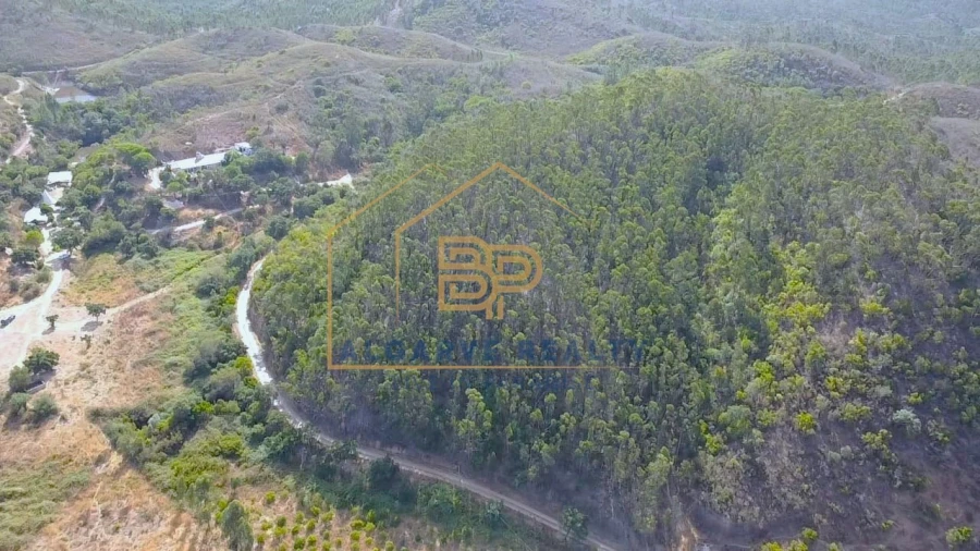 Negócio para Venda em Marmelete Foto 27