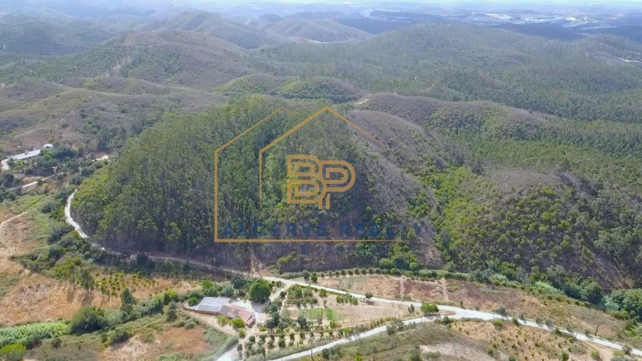 Negócio para Venda em Marmelete Foto 20