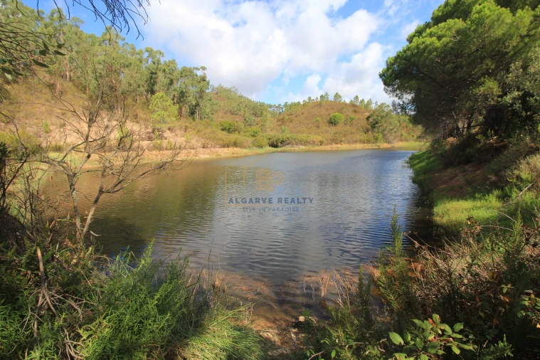 Negócio para Venda em Marmelete Foto 12