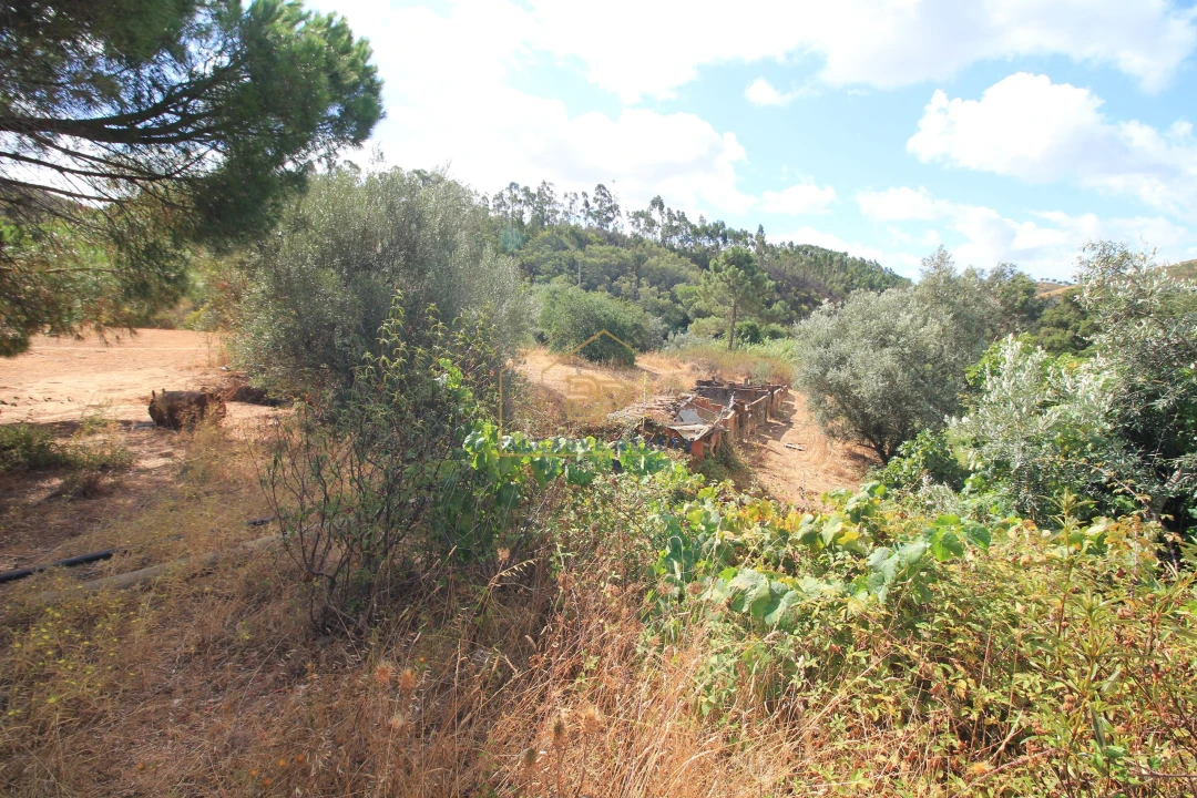 Negócio para Venda em Marmelete Foto 10