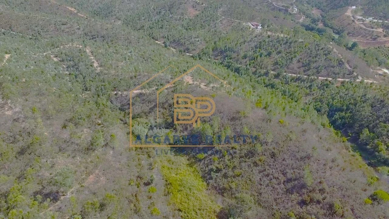 Negócio para Venda em Marmelete Foto 25