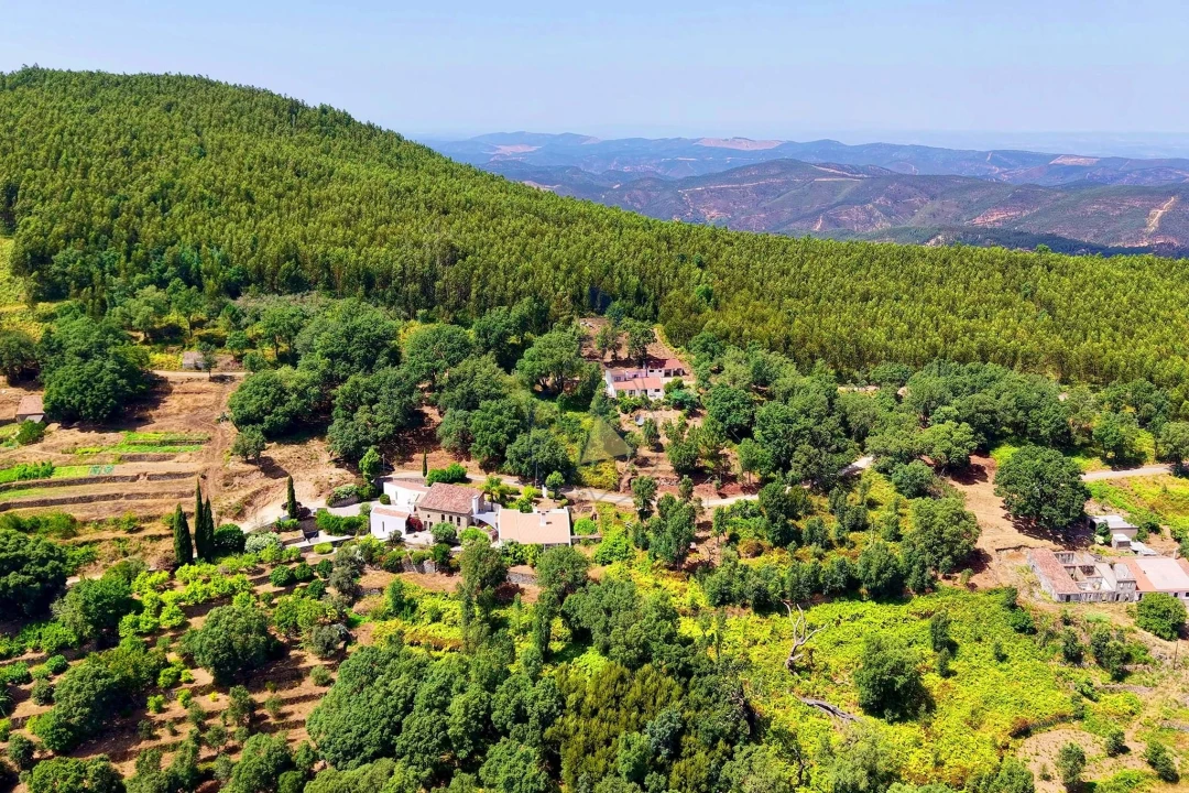 Terreno para Venda em Monchique Foto 4
