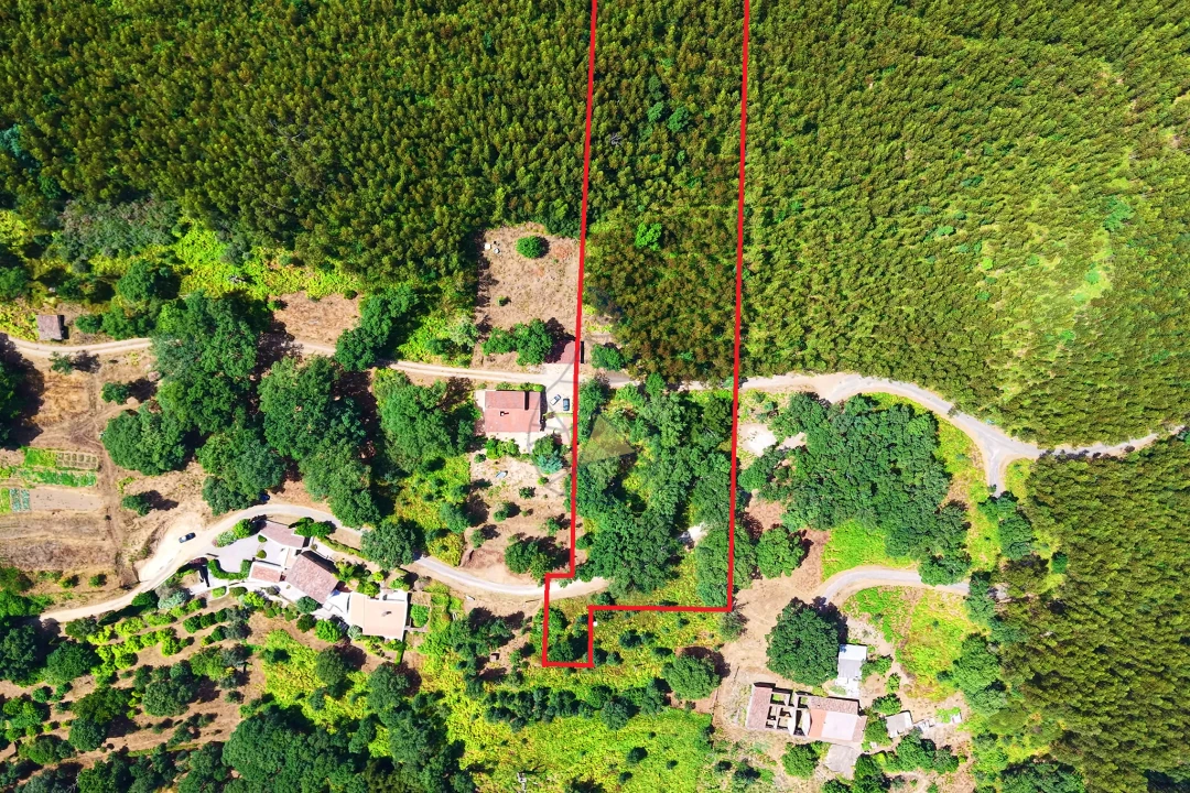 Terreno para Venda em Monchique Foto 2