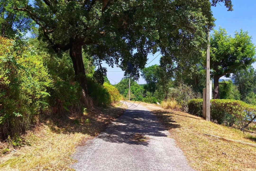 Terreno para Venda em Monchique Foto 6