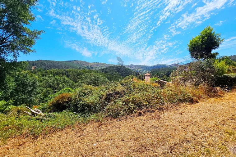 Terreno para Venda em Monchique Foto 8