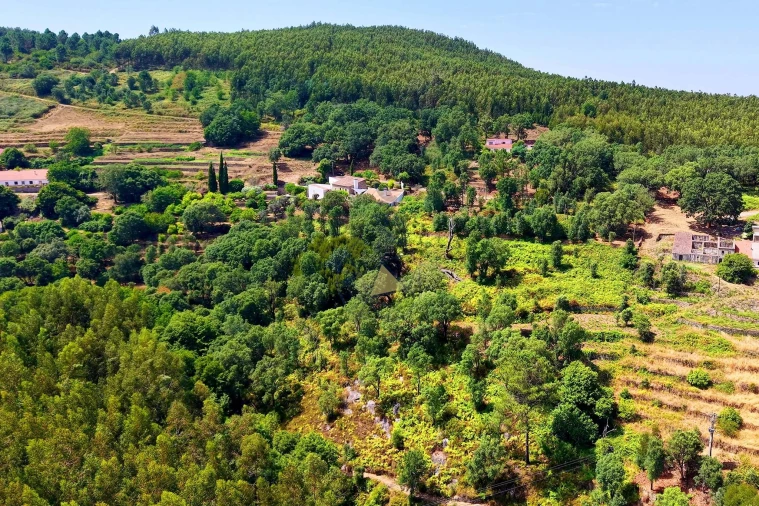 Terreno para Venda em Monchique Foto 14