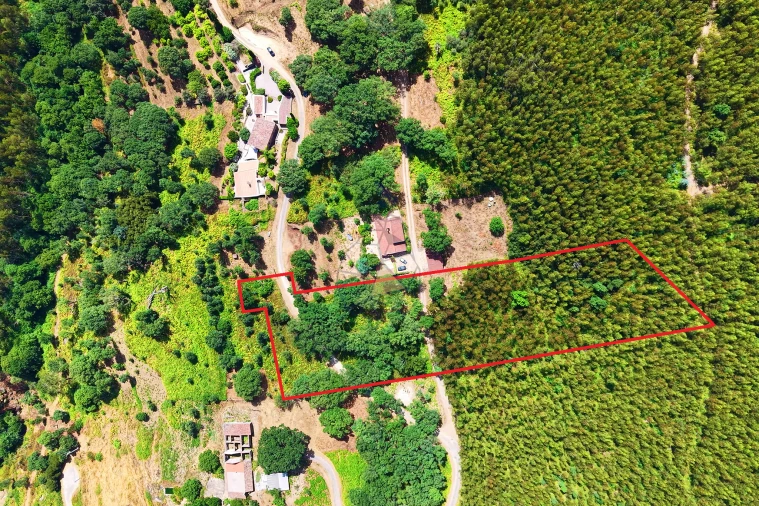 Terreno para Venda em Monchique Foto 9