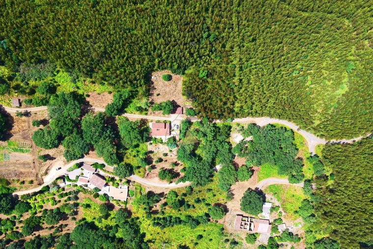 Terreno para Venda em Monchique Foto 12