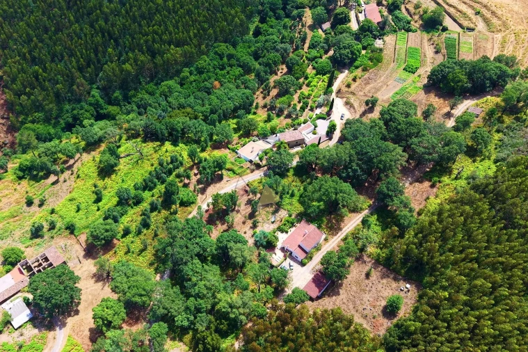 Terreno para Venda em Monchique Foto 10