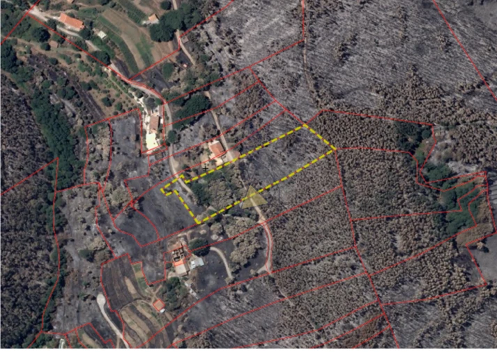 Terreno para Venda em Monchique Foto 3