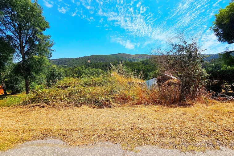Terreno para Venda em Monchique Foto 7