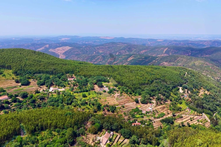 Terreno para Venda em Monchique Foto 13