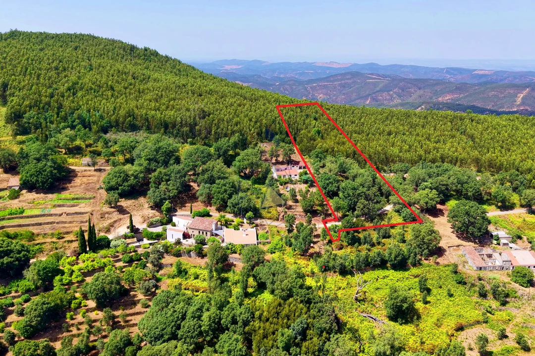 Terreno para Venda em Monchique Foto 1