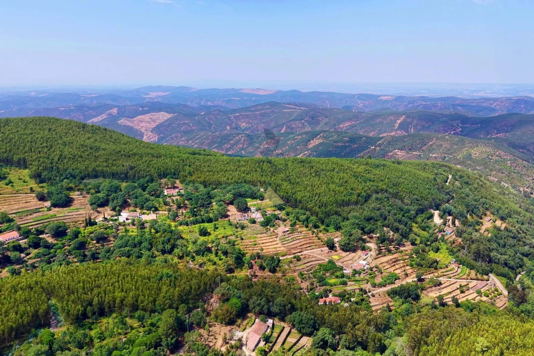 Terreno para Venda em Monchique Foto 13