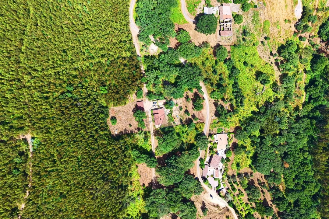 Terreno para Venda em Monchique Foto 11