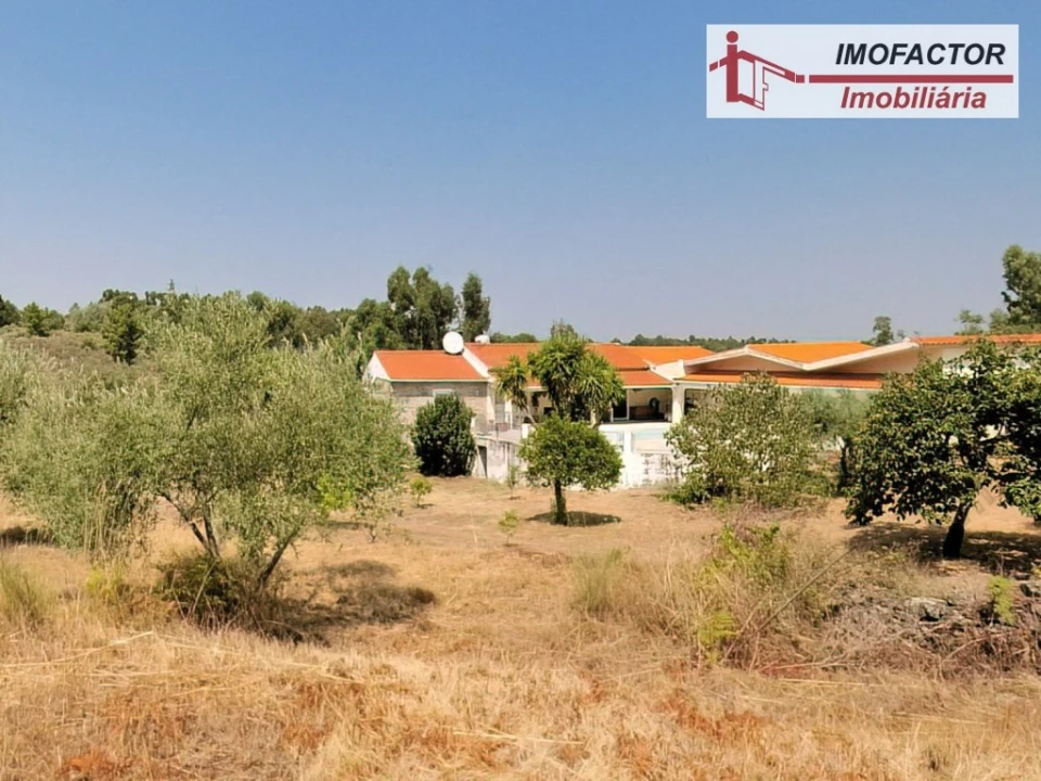 Quinta T4 para Venda em Castelo Branco Foto 6