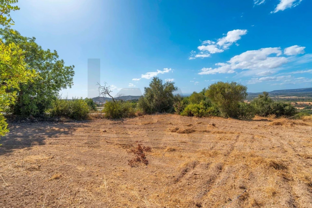 Terreno para Venda em Paderne Foto 54