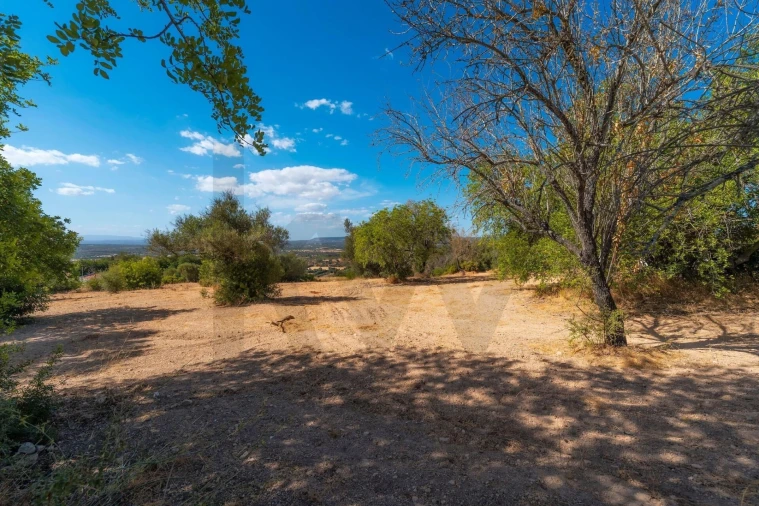 Terreno para Venda em Paderne Foto 48