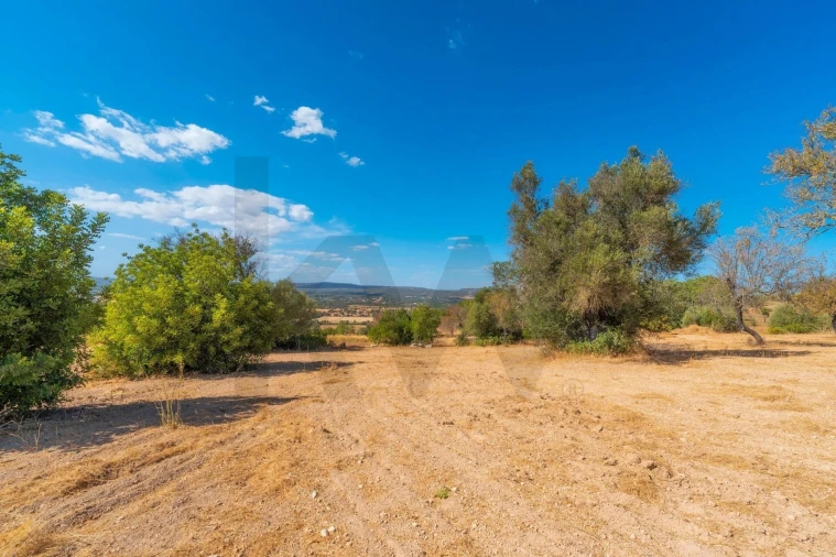 Terreno para Venda em Paderne Foto 52
