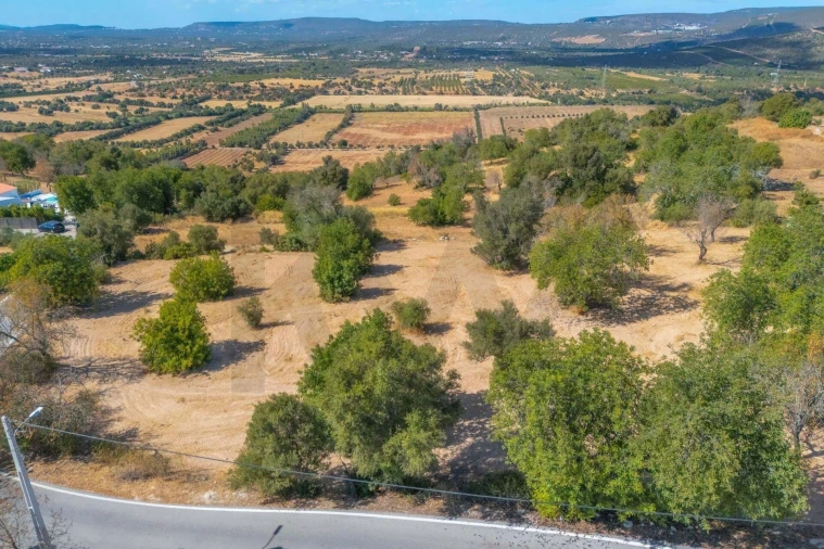 Terreno para Venda em Paderne Foto 37