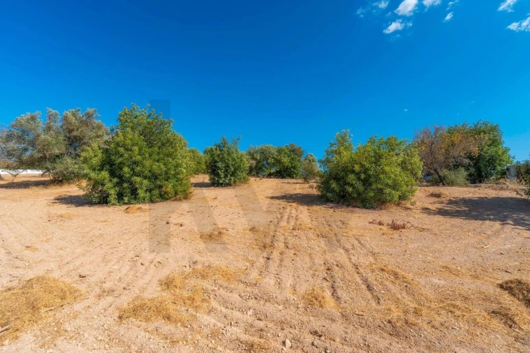 Terreno para Venda em Paderne Foto 58