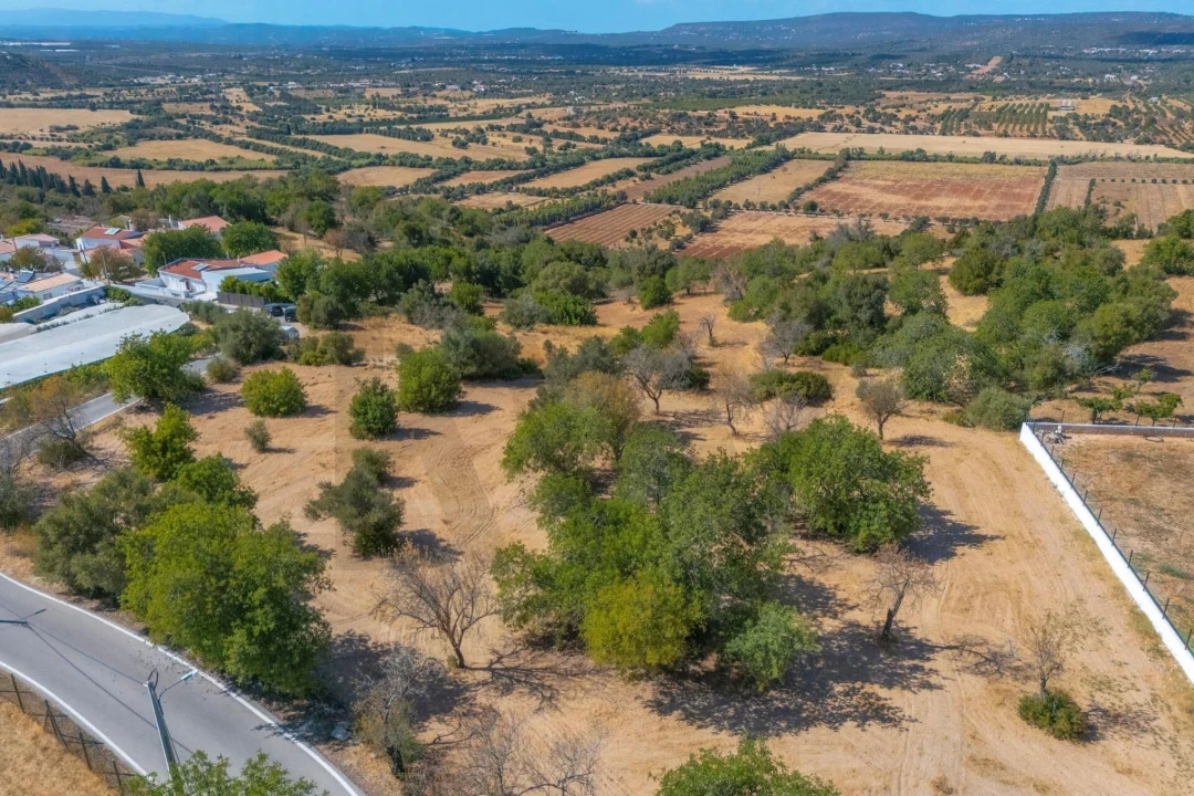 Terreno para Venda em Paderne Foto 14