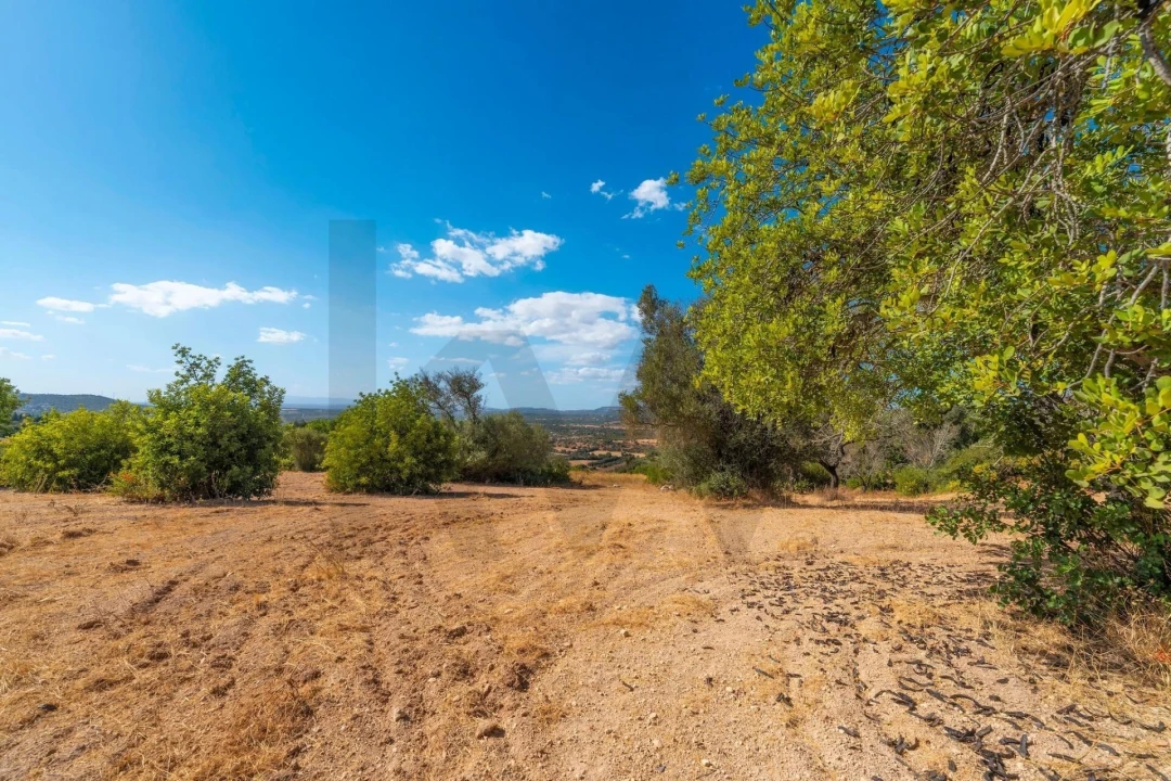 Terreno para Venda em Paderne Foto 50