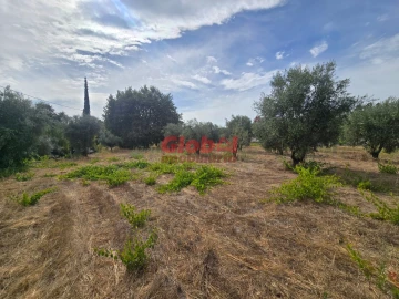 Terreno para Venda em Silgueiros