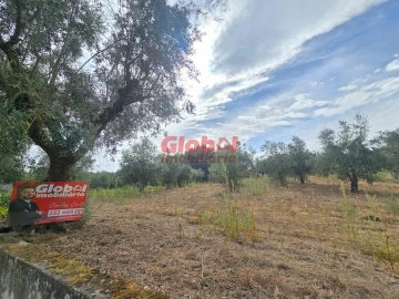 Terreno para Venda em Silgueiros