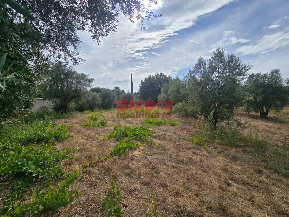 Terreno para Venda em Silgueiros Foto 3
