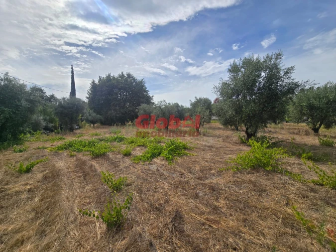 Terreno para Venda em Silgueiros