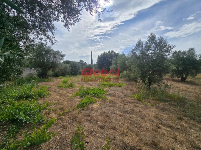 Terreno para Venda em Silgueiros Foto 3