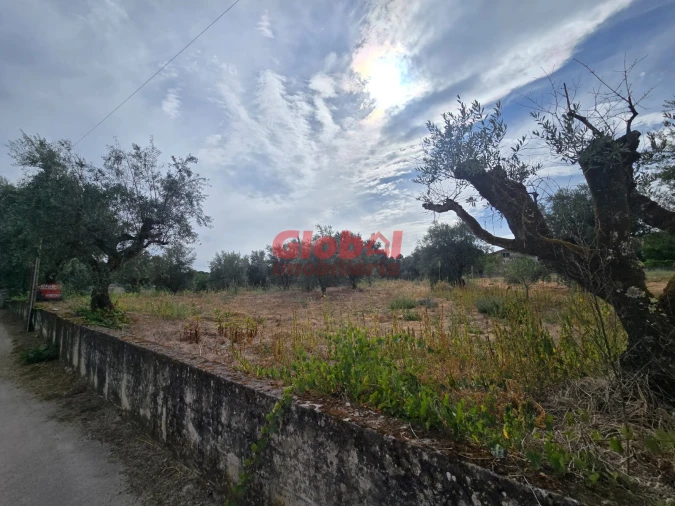 Terreno para Venda em Silgueiros Foto 4