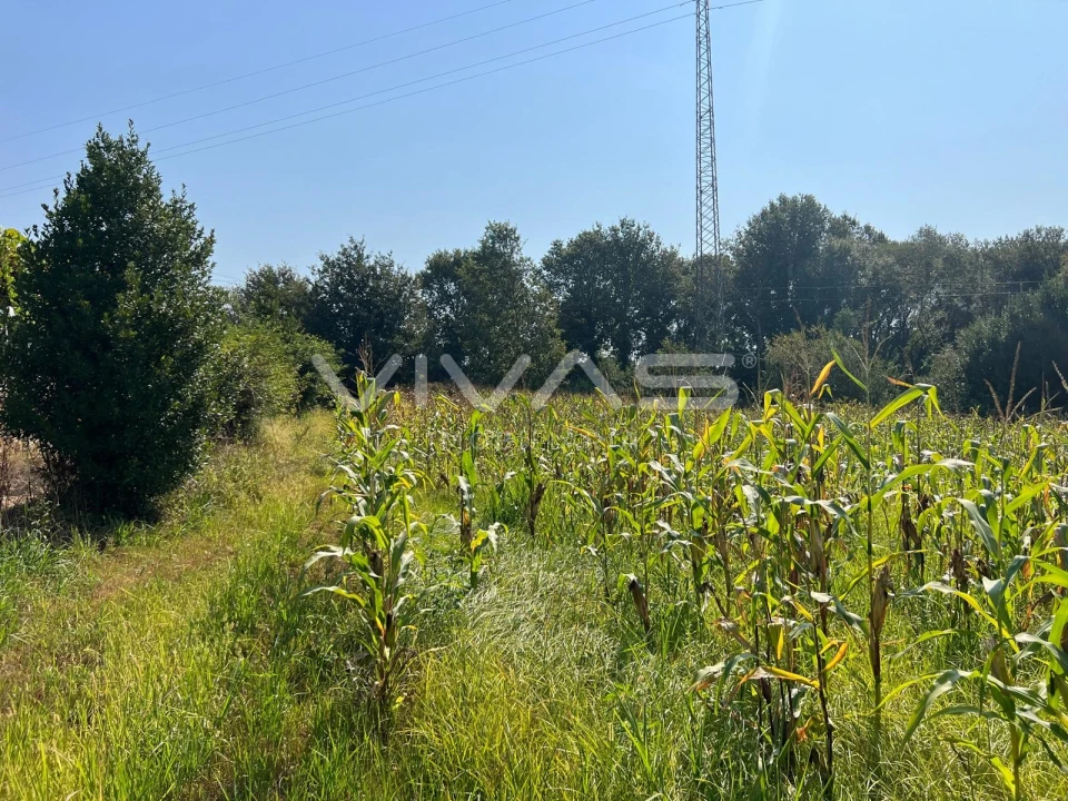 Terreno Agricola ou Rústico para Venda em Oleiros Foto 3