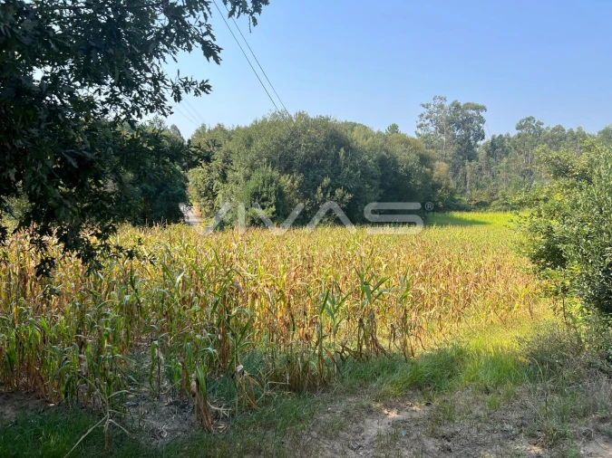Terreno Agricola ou Rústico para Venda em Oleiros Foto 2