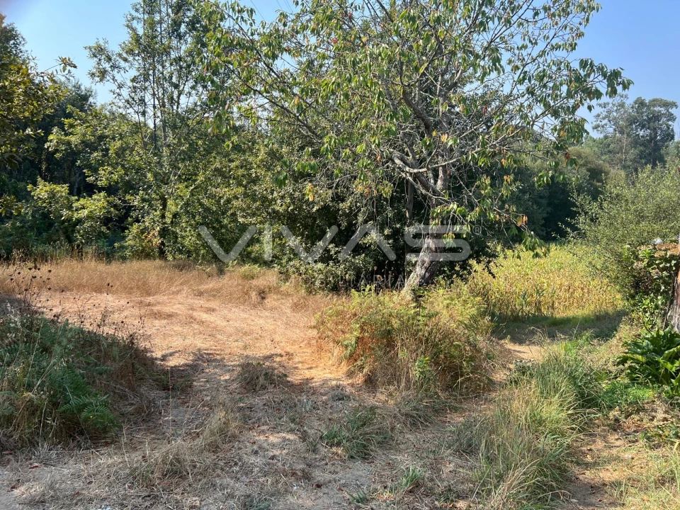Terreno Agricola ou Rústico para Venda em Oleiros Foto 5