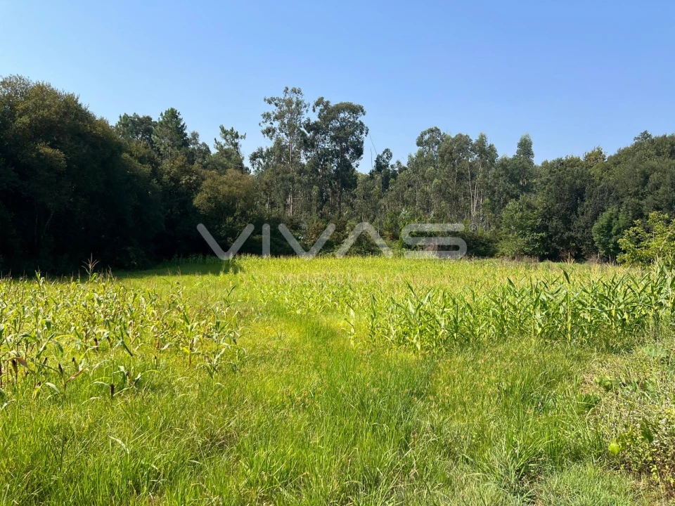 Terreno Agricola ou Rústico para Venda em Oleiros Foto 1