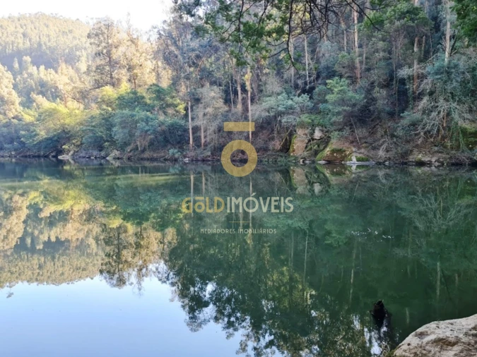 Terreno para Venda em Rio de Moinhos Foto 14