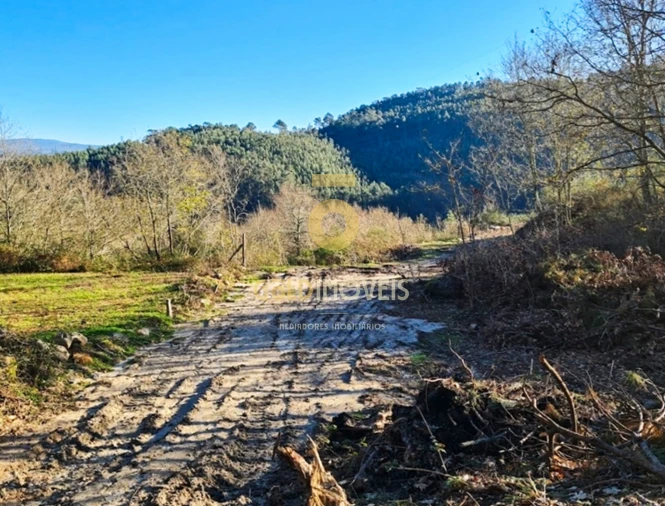 Terreno para Venda em Rio de Moinhos Foto 8