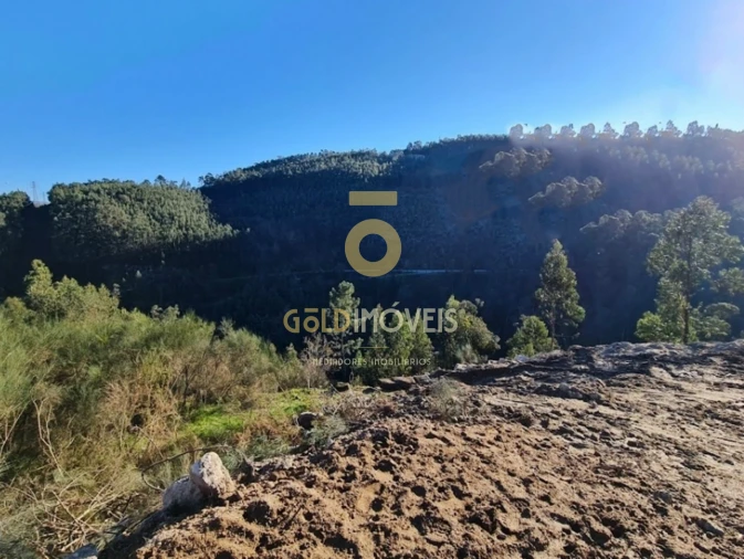 Terreno para Venda em Rio de Moinhos Foto 10