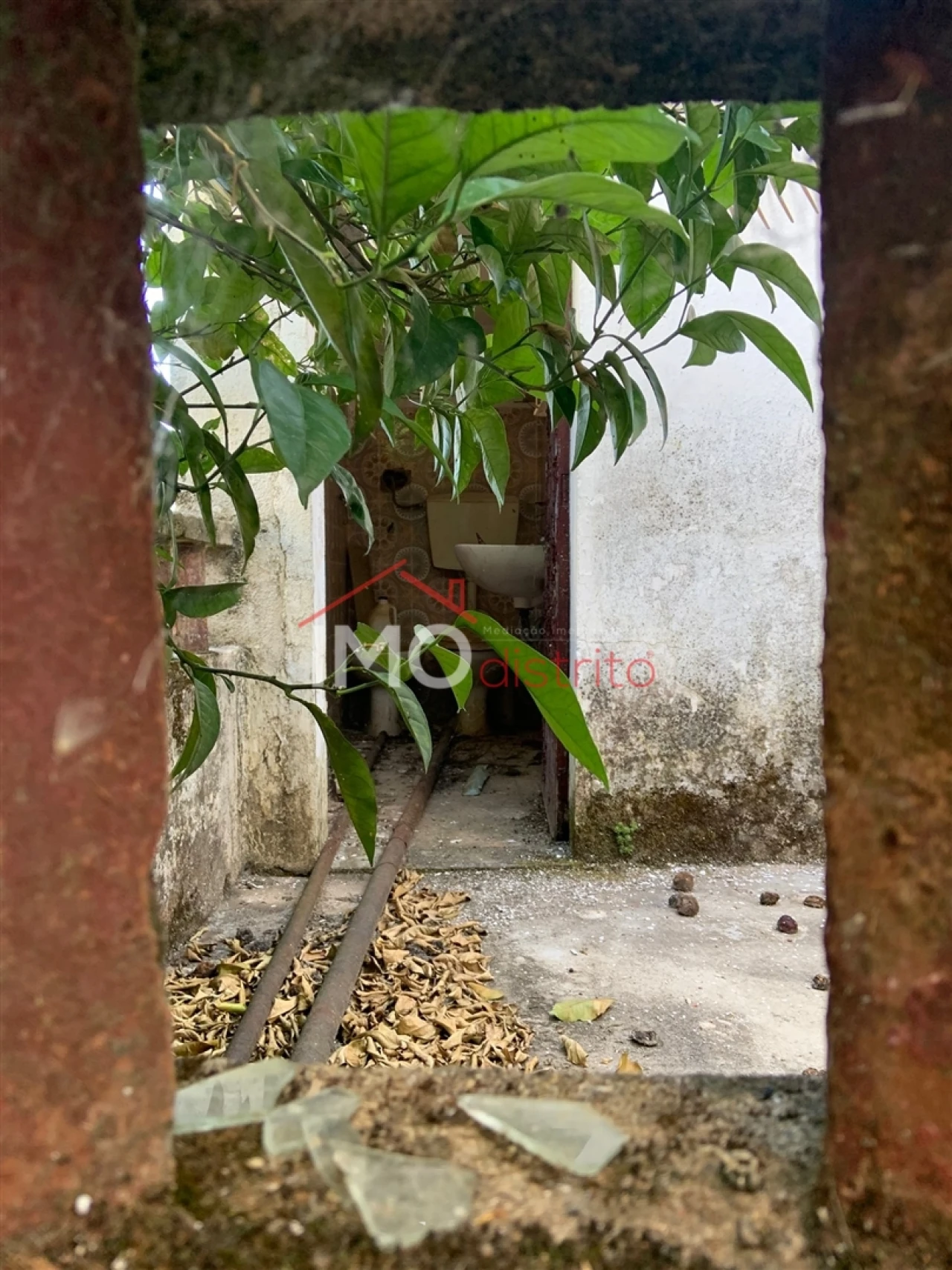 Moradia T3 para Venda em São Salvador da Aramenha Foto 2