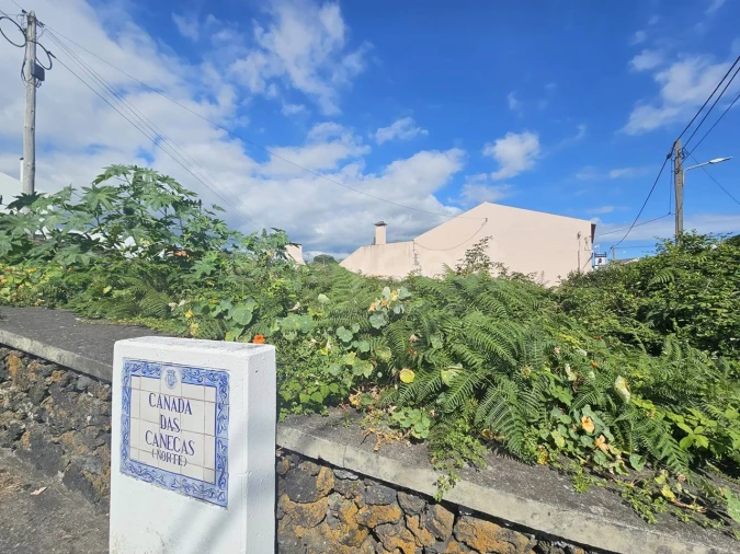 Terreno para Venda em Lagoa (Nossa Senhora do Rosario) Foto 13