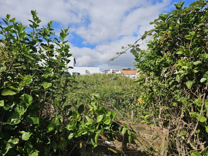 Terreno para Venda em Lagoa (Nossa Senhora do Rosario) Foto 15