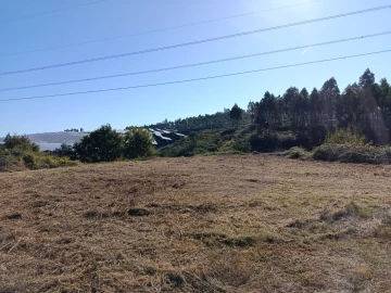 Terreno para Venda em Paços de Ferreira