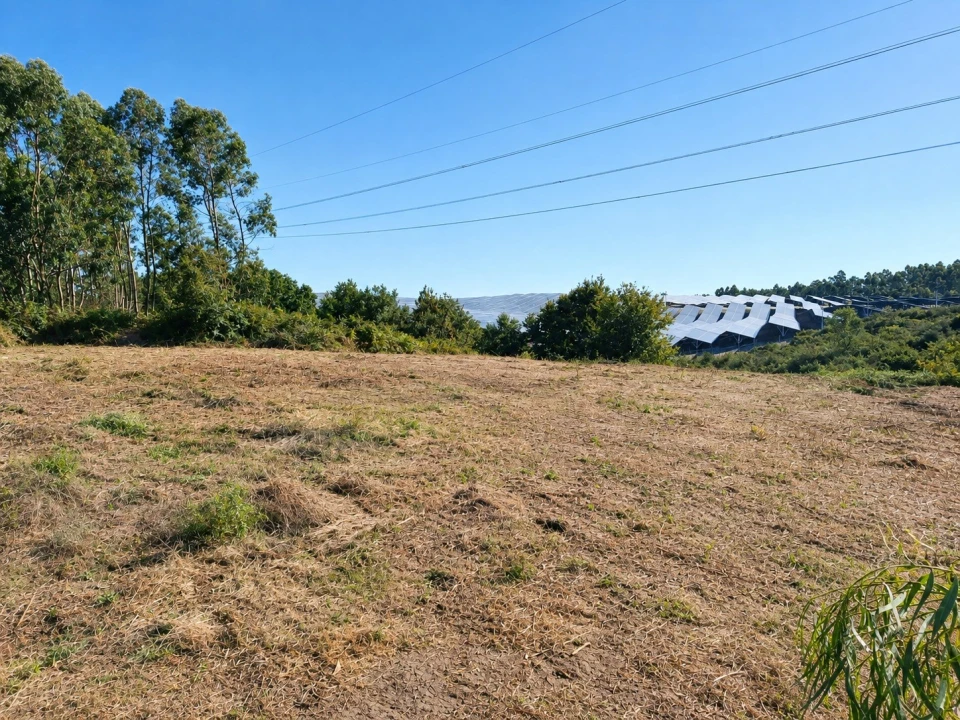 Terreno para Venda em Paços de Ferreira Foto 4
