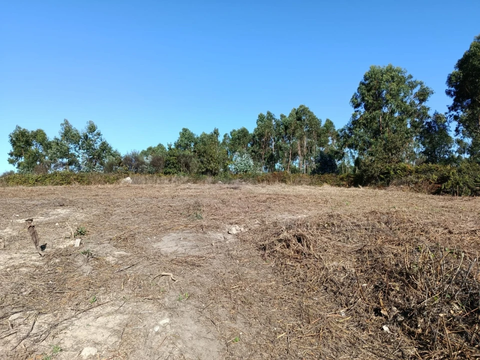Terreno para Venda em Paços de Ferreira Foto 3